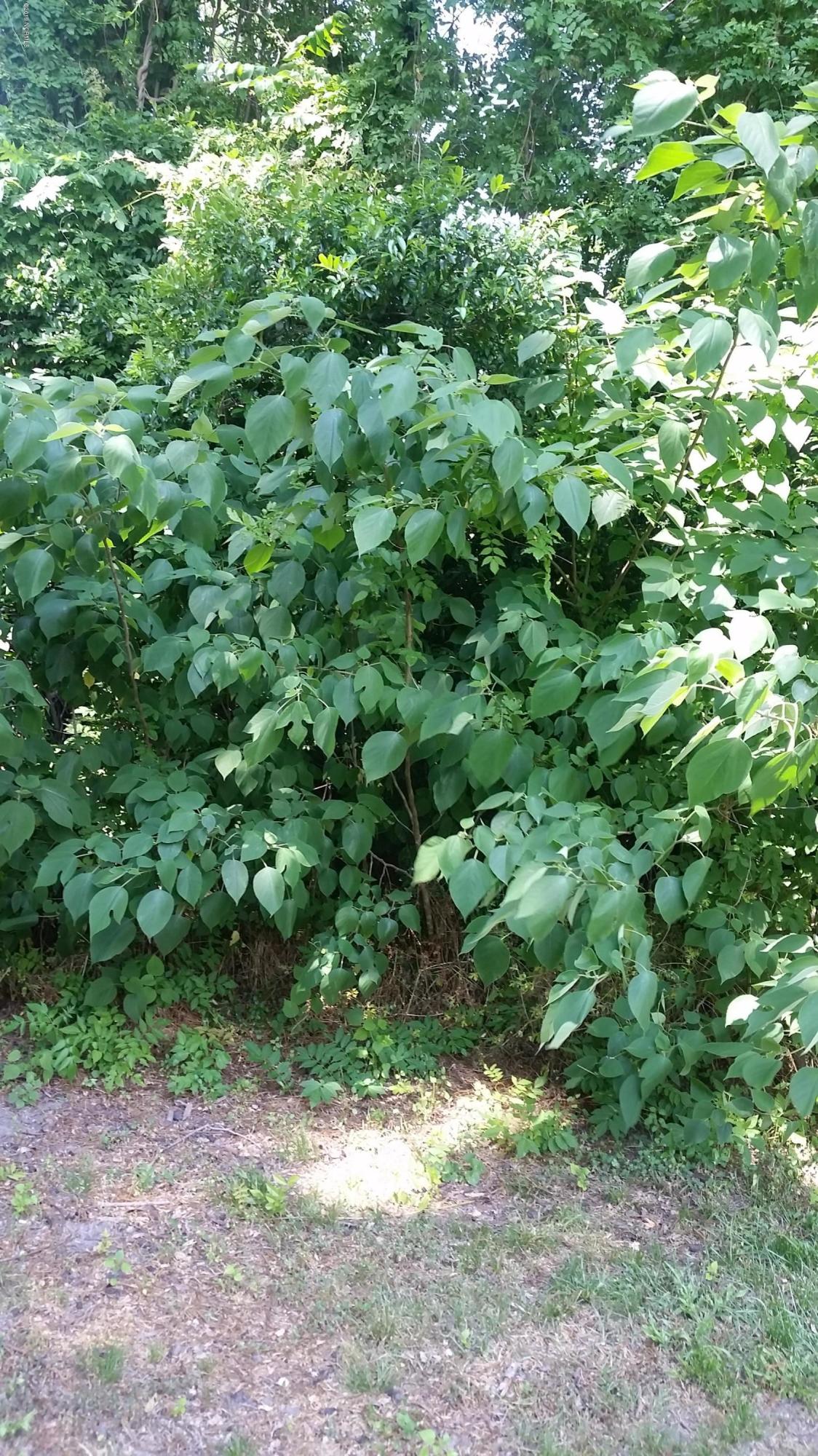 1400 North Spring Branch Road Dunn, NC 28334 - Photo 1 of 1 20190520_150236