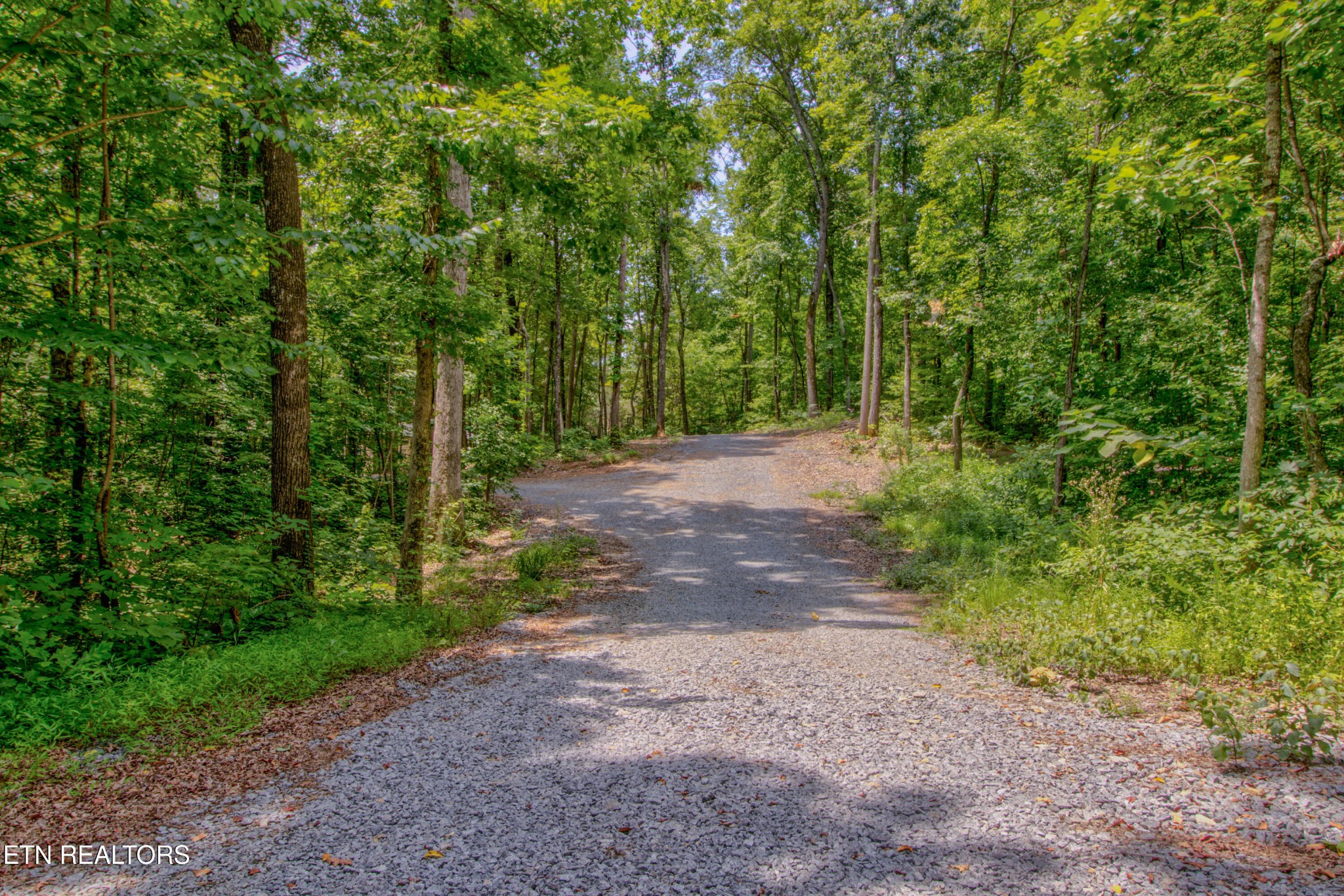 8668 Lakeshore Drive Rutledge, TN 37861 - Photo 34 of 58 Gallery Image 34
