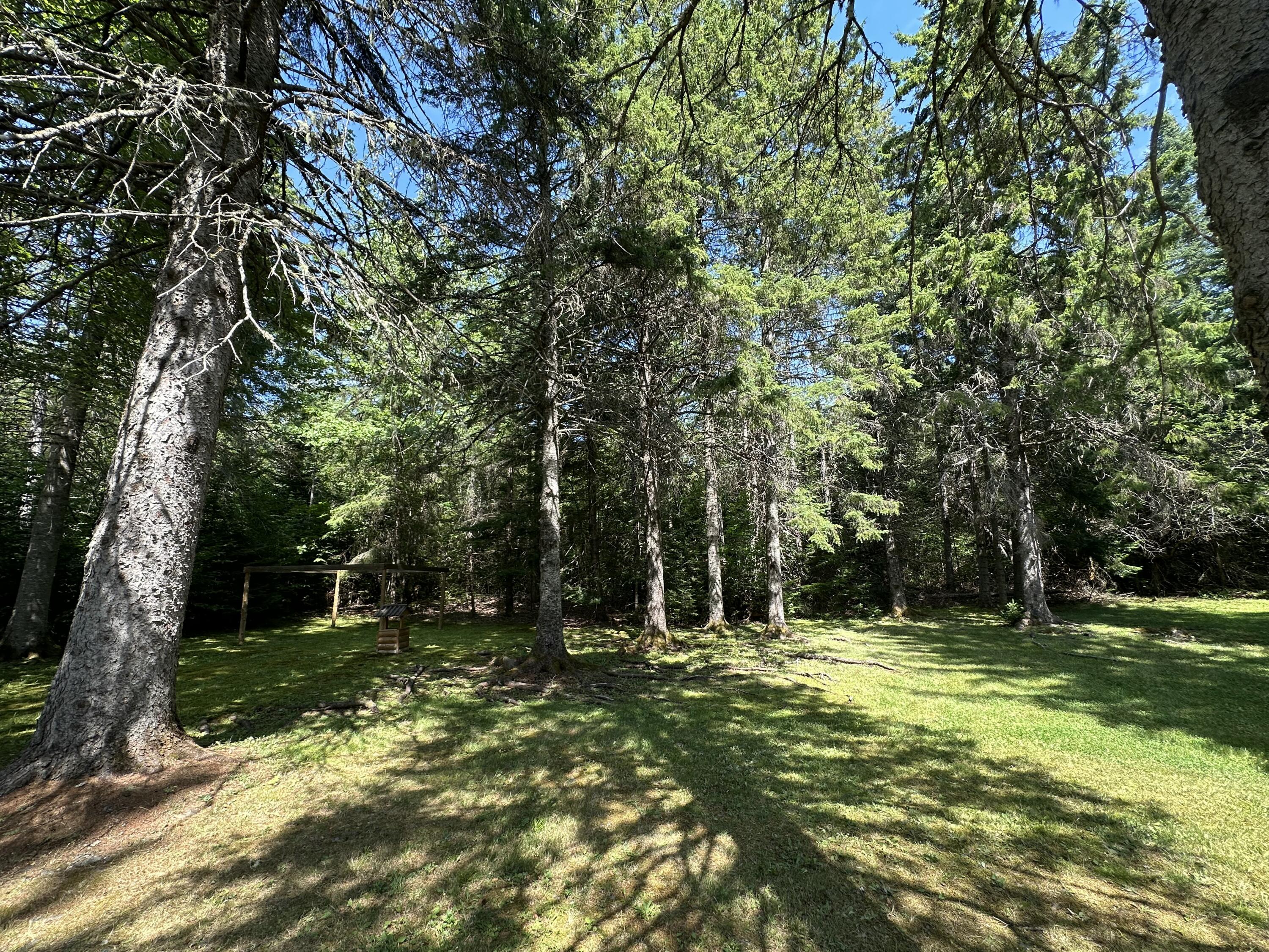 1991 Ludlow Road Houlton, ME 04730 - Photo 6 of 25 IMG_0659