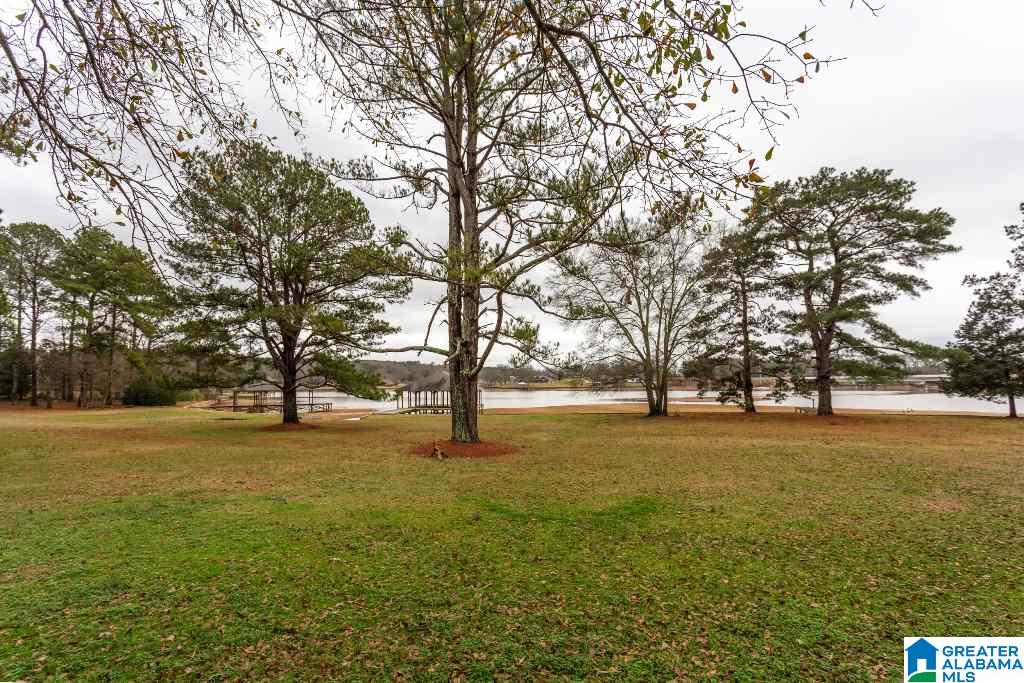 2685 Rushing Springs Road Lincoln, AL 35096 - Photo 37 of 38