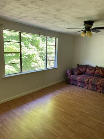 133 Marsee Spring Road Cumberland Gap, TN 37724 - Photo 9 of 9 living room