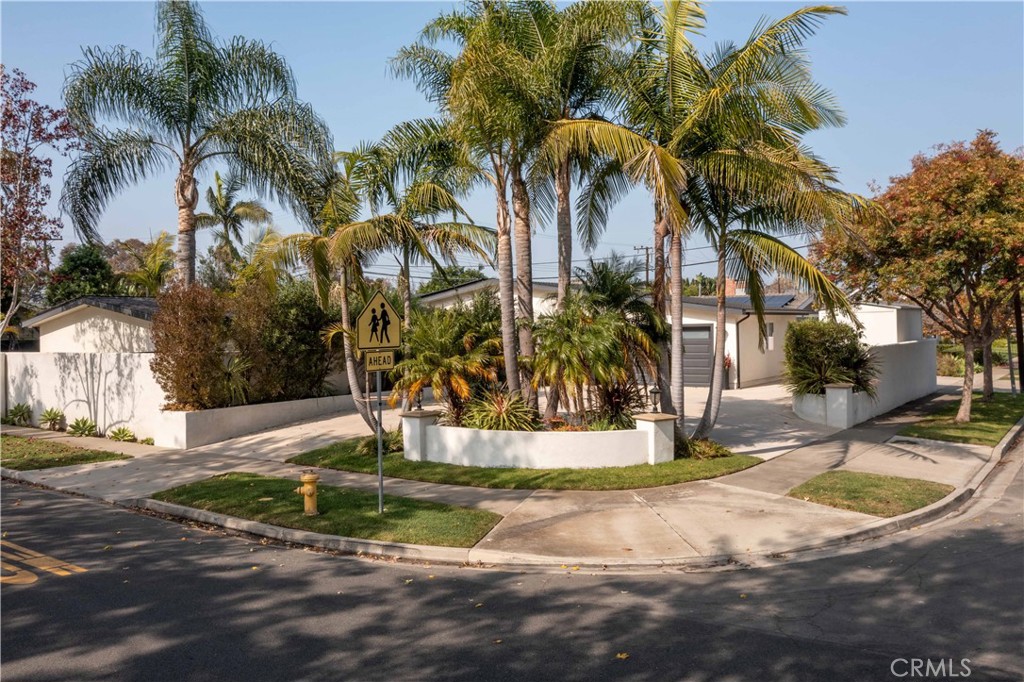 a view of a yard with palm trees