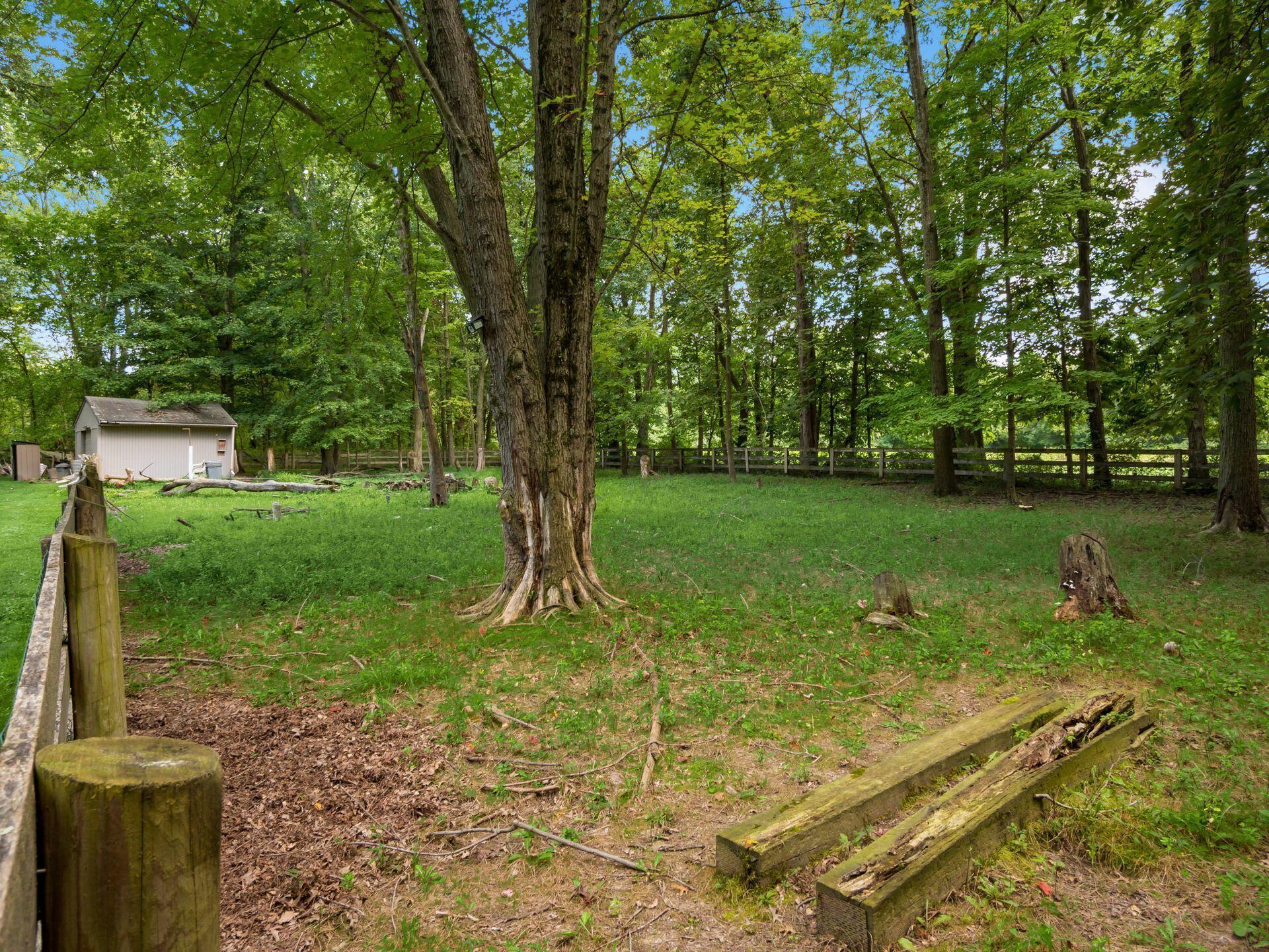 4150 Harlem Road Galena, OH 43021 - Photo 52 of 73 Currently housing two goats.