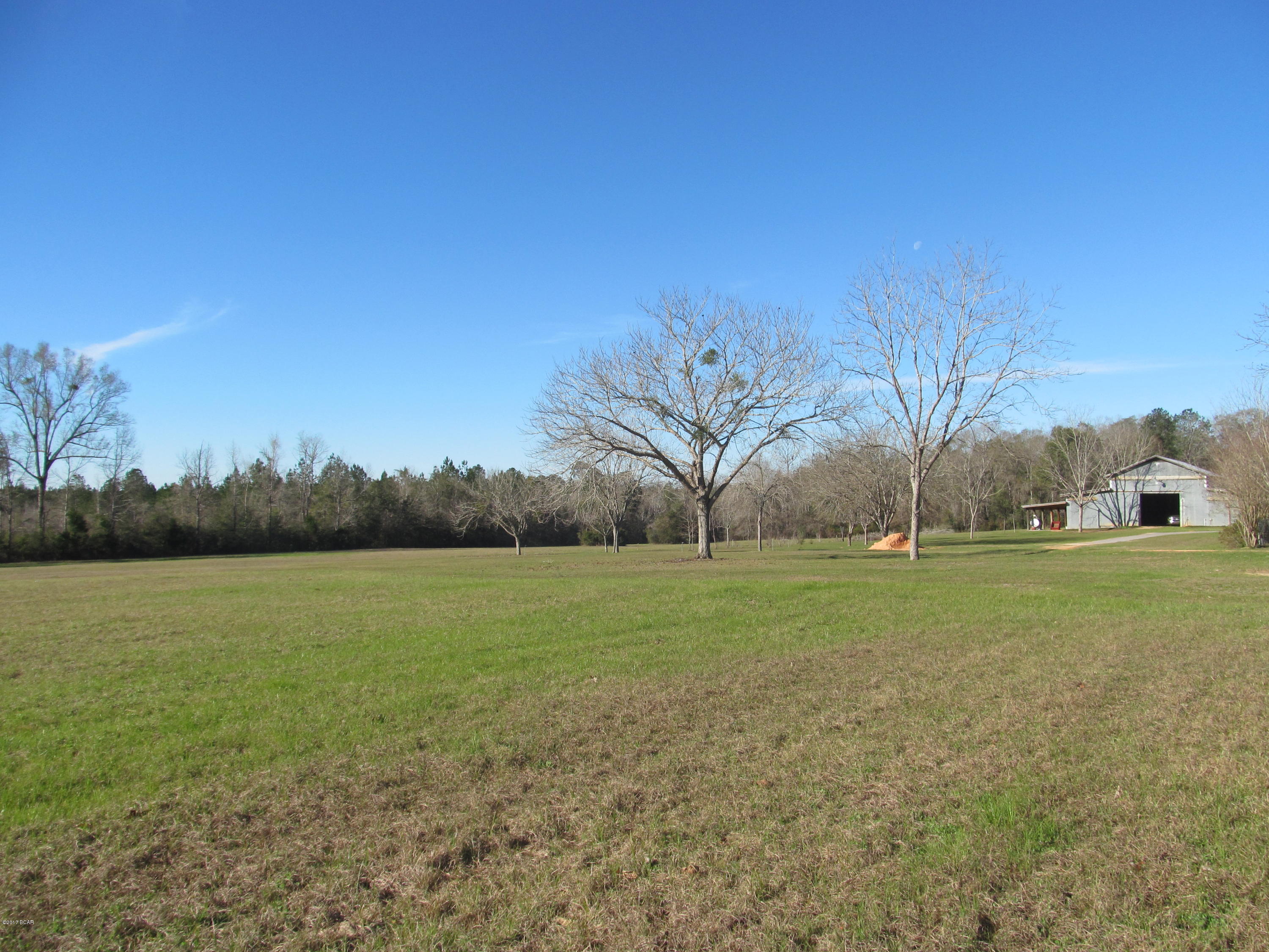 977 Pioneer Road Chipley, FL 32428 - Photo 10 of 73