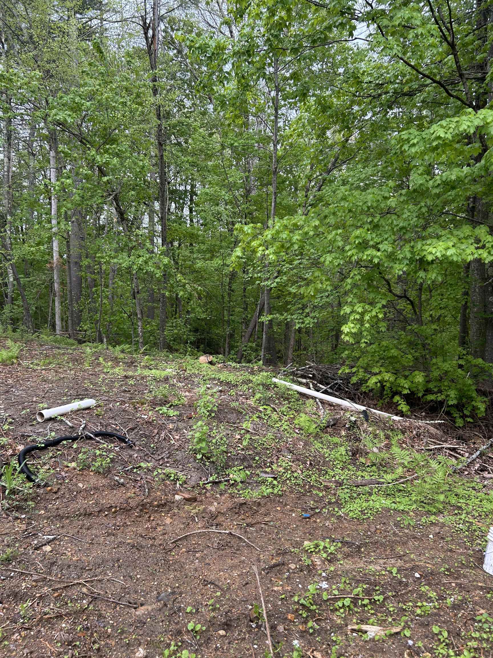 103 Mitchell Road Nottingham, NH 03290 - Photo 12 of 28