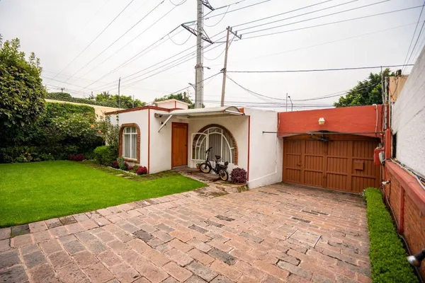 a table and chairs with potted plants