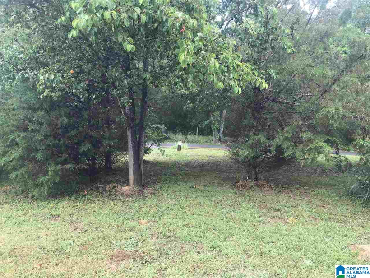 1410 County Line Road Oxford, AL 36203 - Photo 30 of 31