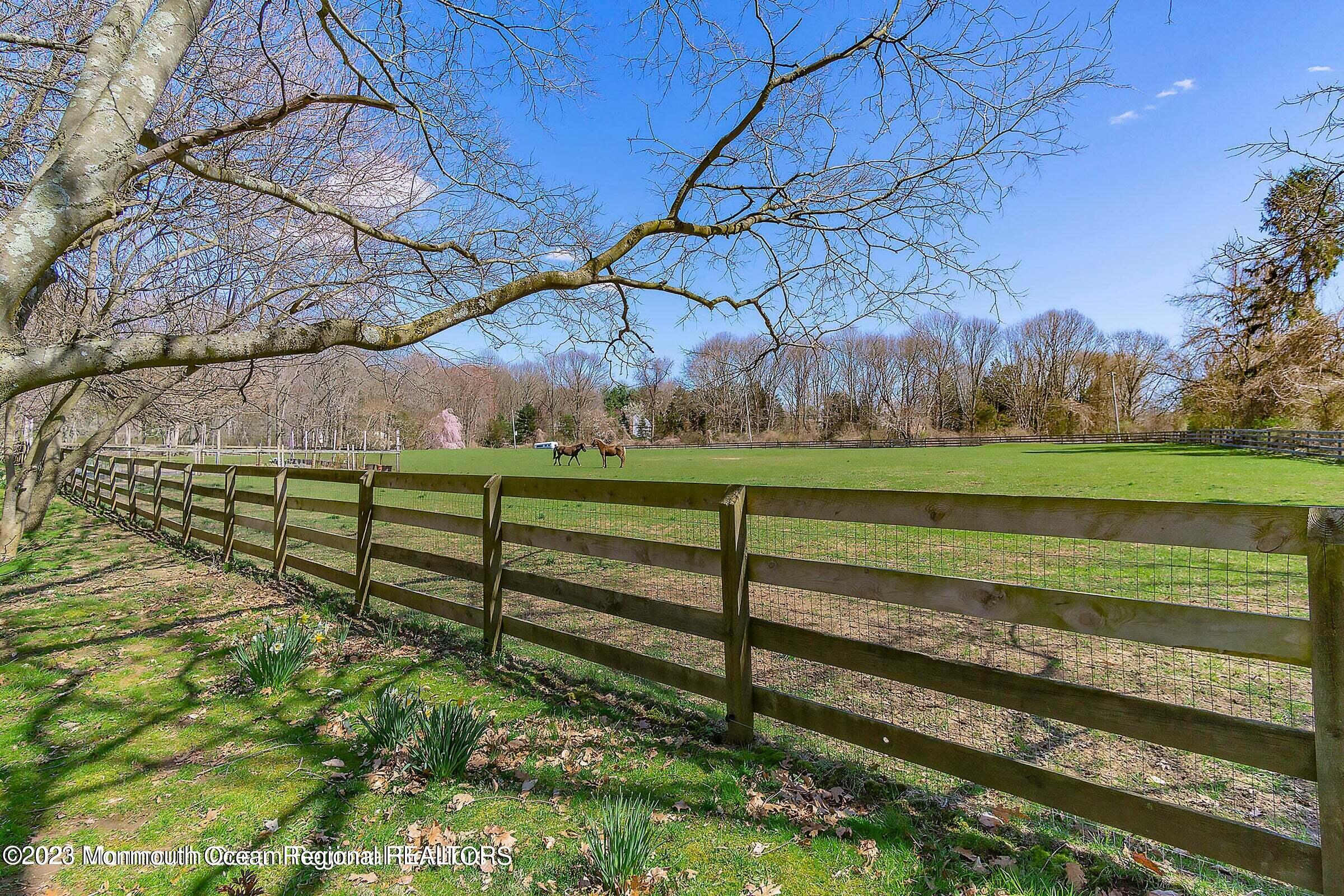 193 Laird Road Colts Neck, NJ 07722 - Photo 9 of 18 South Pasture 1