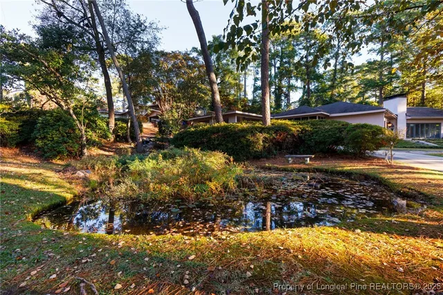 a view of swimming pool with a patio and plants