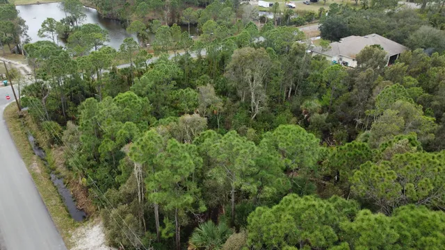 a view of a house with a lush green forest
