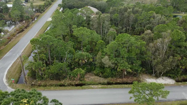 a view of a garden with pathway