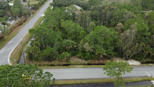 a view of a garden with a lake