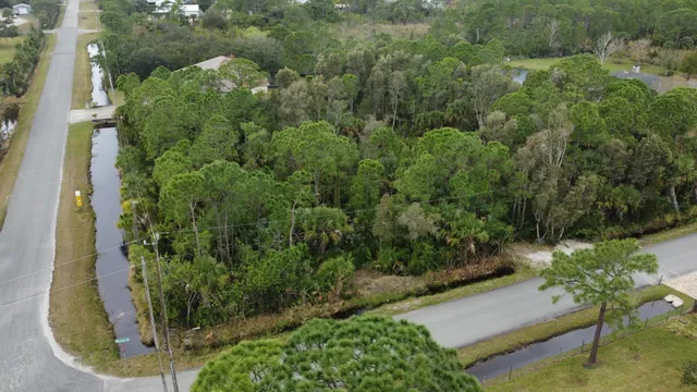 a view of a yard with plants
