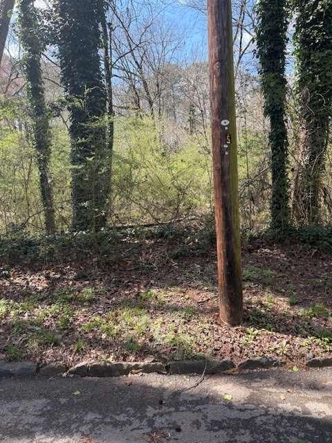 0 Adams Drive Southwest Atlanta, GA 30311 - Photo 1 of 1 a view of a tree in a yard