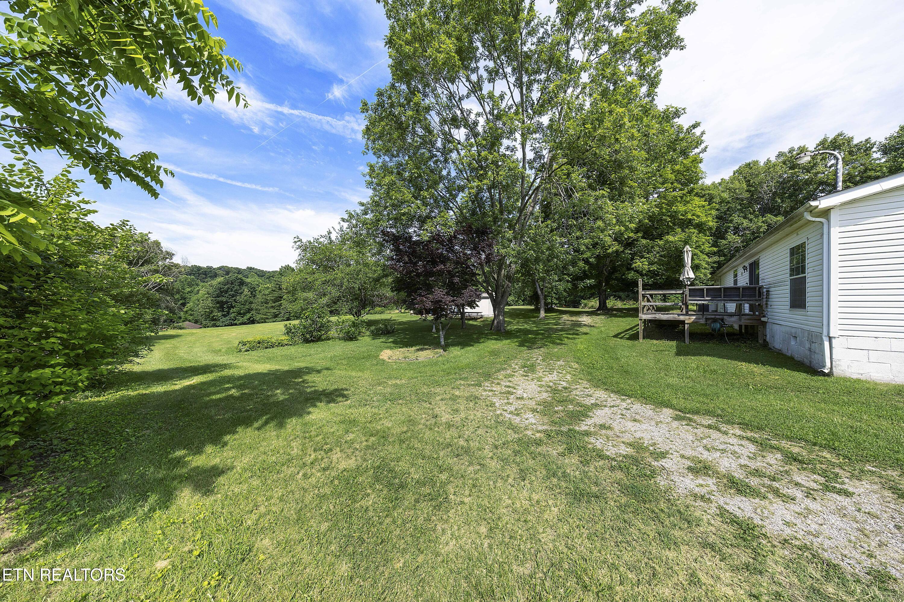 8125 Brickyard Road Powell, TN 37849 - Photo 8 of 34 L40A6182