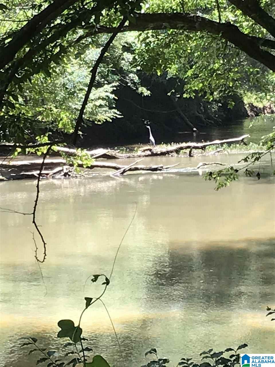 0 Highway 59 Vincent, AL 35178 - Photo 5 of 10