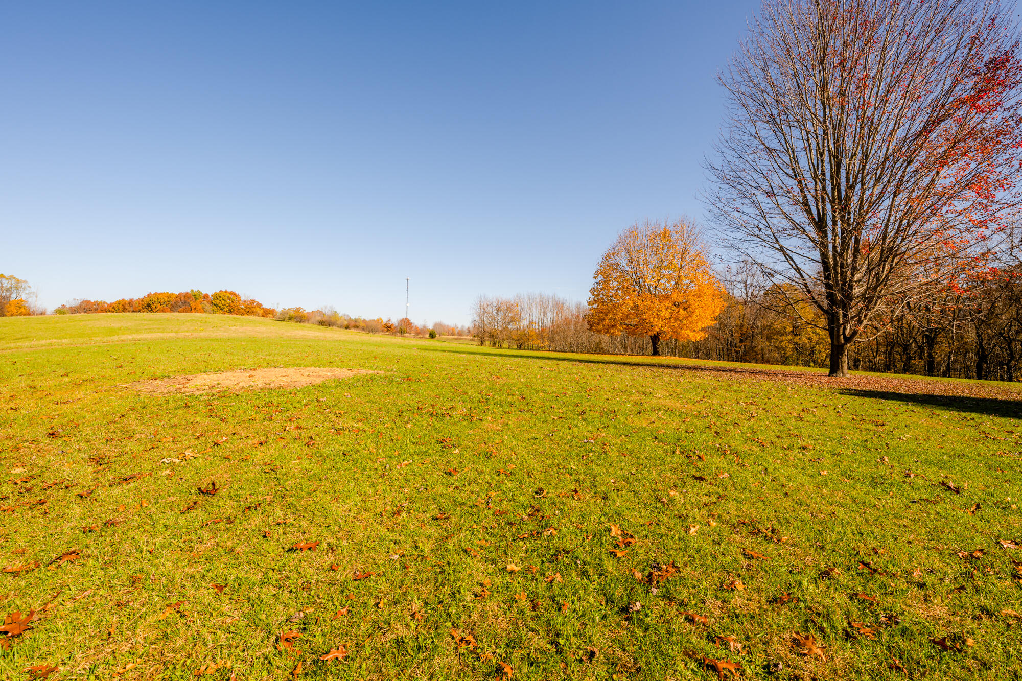 2107 Roslin Road Benton Harbor, MI 49022 - Photo 53 of 84 Roslin-108