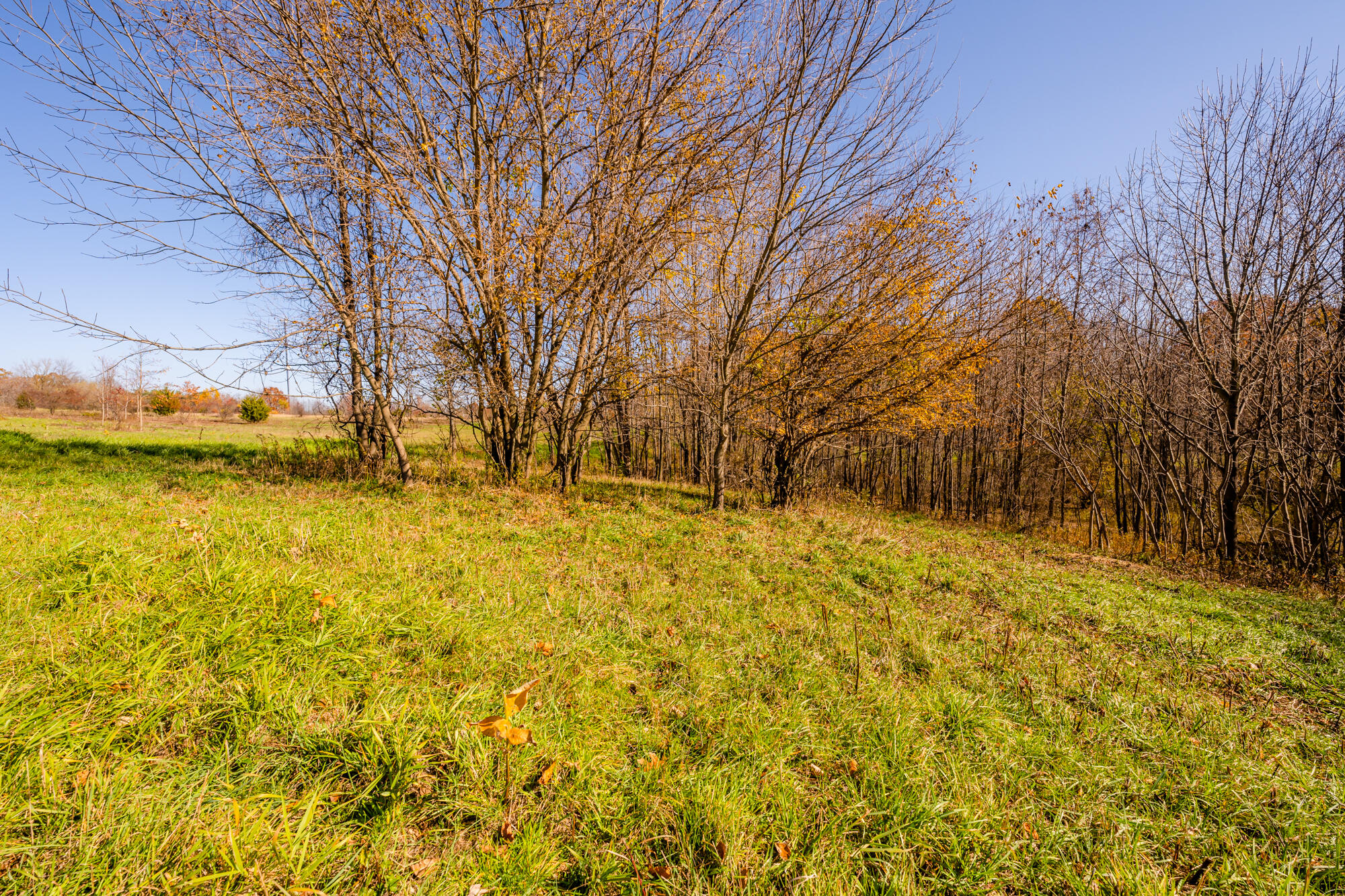 2107 Roslin Road Benton Harbor, MI 49022 - Photo 54 of 84 Roslin-109
