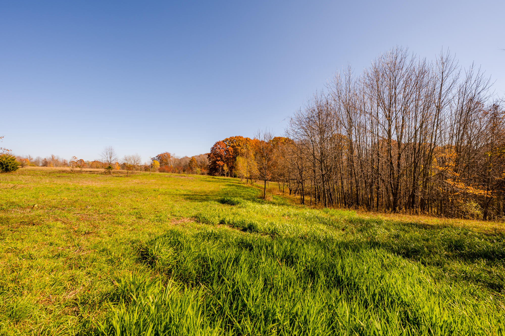2107 Roslin Road Benton Harbor, MI 49022 - Photo 55 of 84 Roslin-110