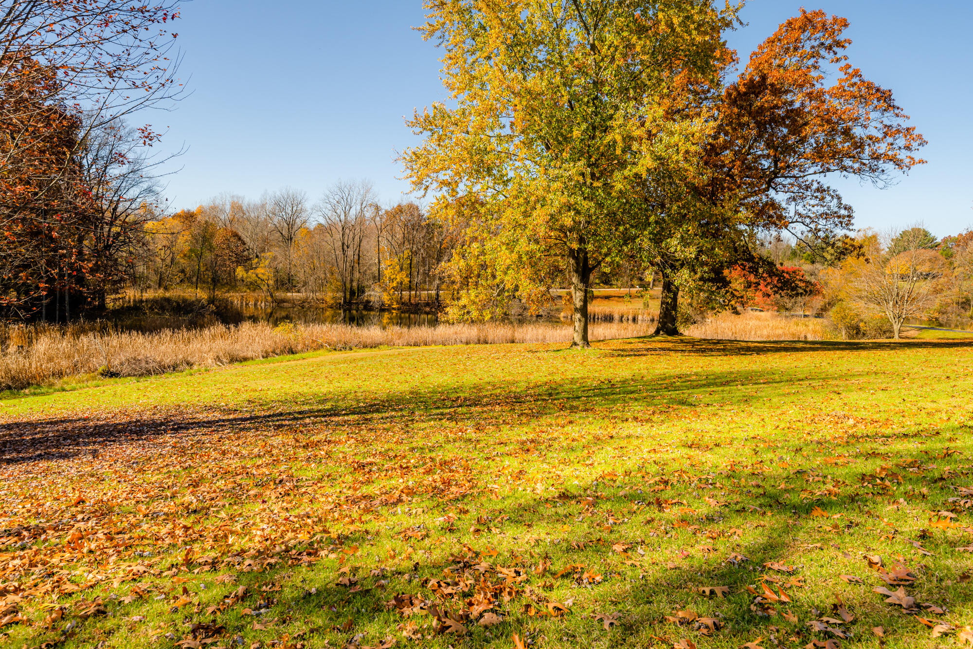 2107 Roslin Road Benton Harbor, MI 49022 - Photo 68 of 84 Roslin-125