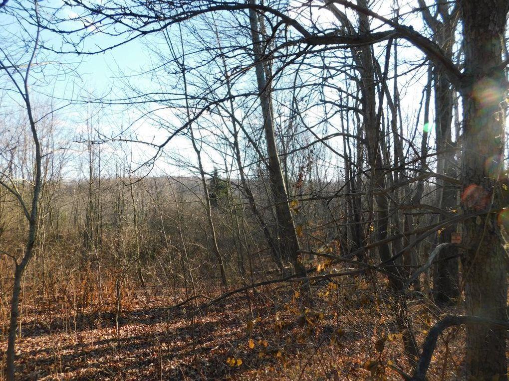 0 Barnes Hill Road Lockwood, NY 14859 - Photo 1 of 1