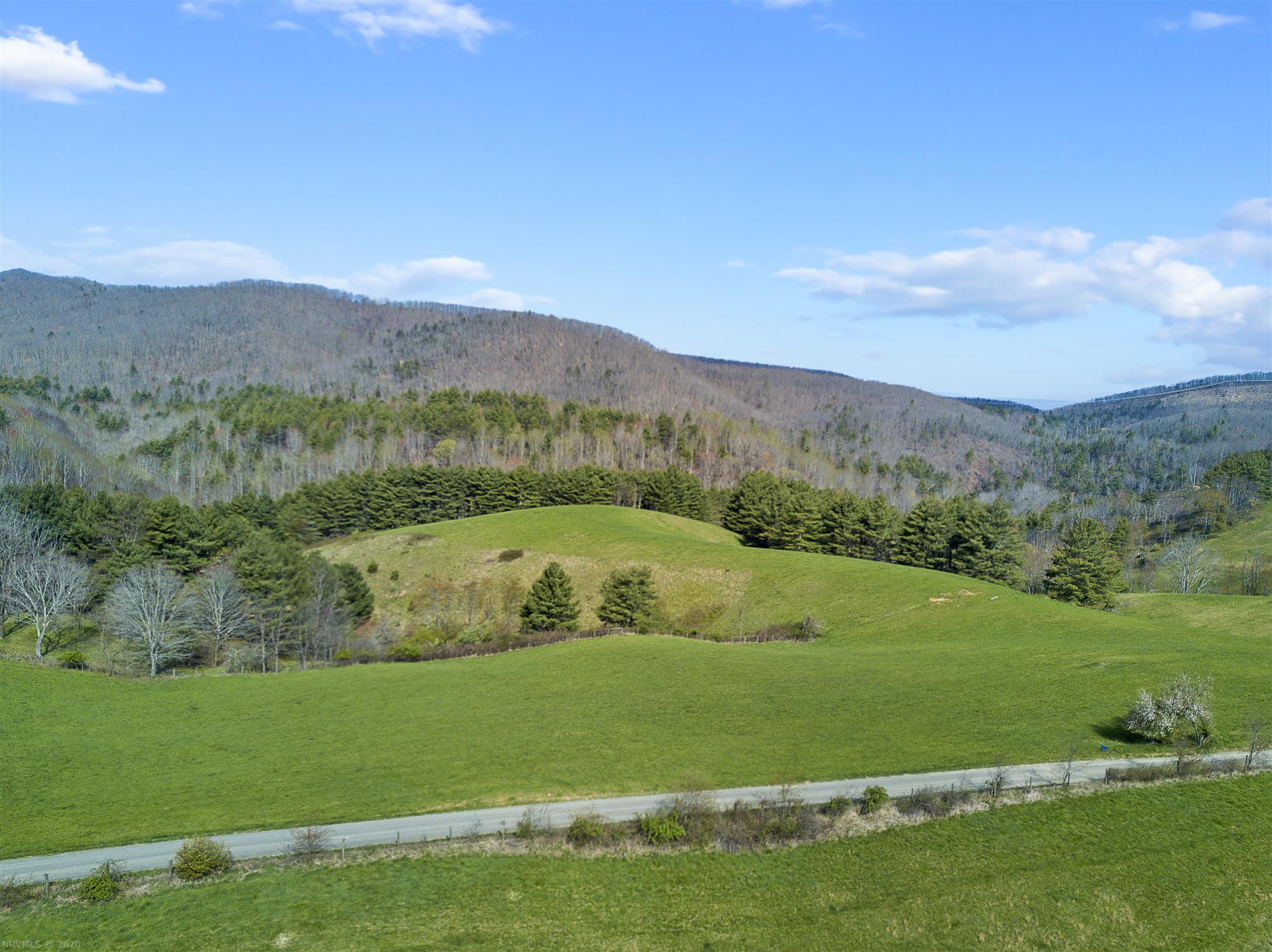 210 Homestead Road Willis, VA 24380 - Photo 3 of 35 Gallery Image 3
