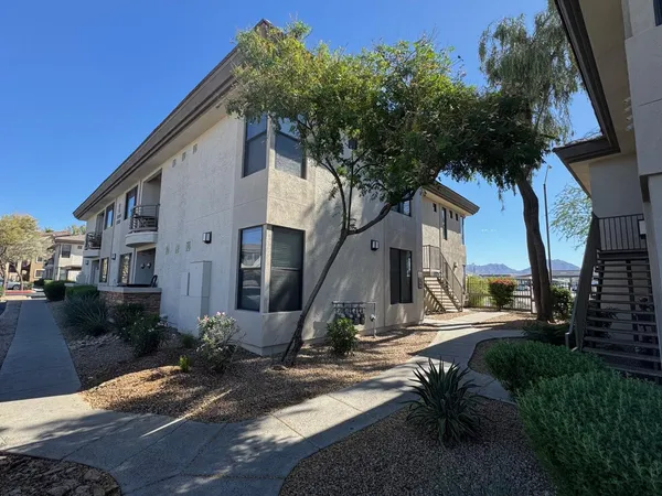 a view of backyard with plants and a large tree