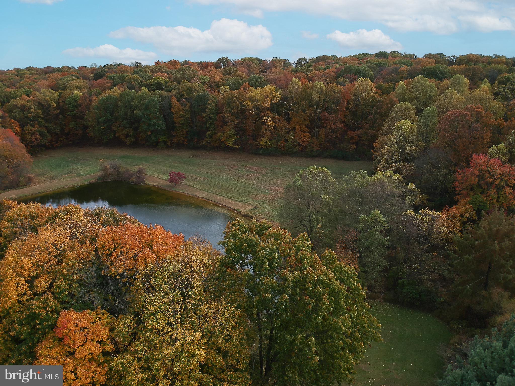 2425 Mount Ventus Road Manchester, MD 21102 - Photo 23 of 29 Gallery Image 23
