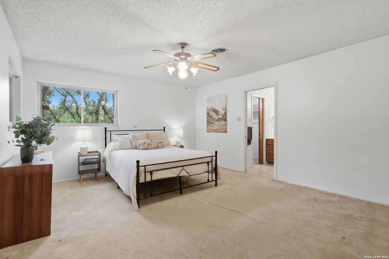 30592 Oakview Road Bulverde, TX 78163 - Photo 17 of 30