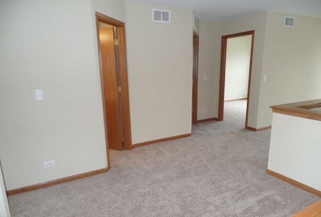 1976 West Cobblestone Road Romeoville, IL 60446 - Photo 9 of 16