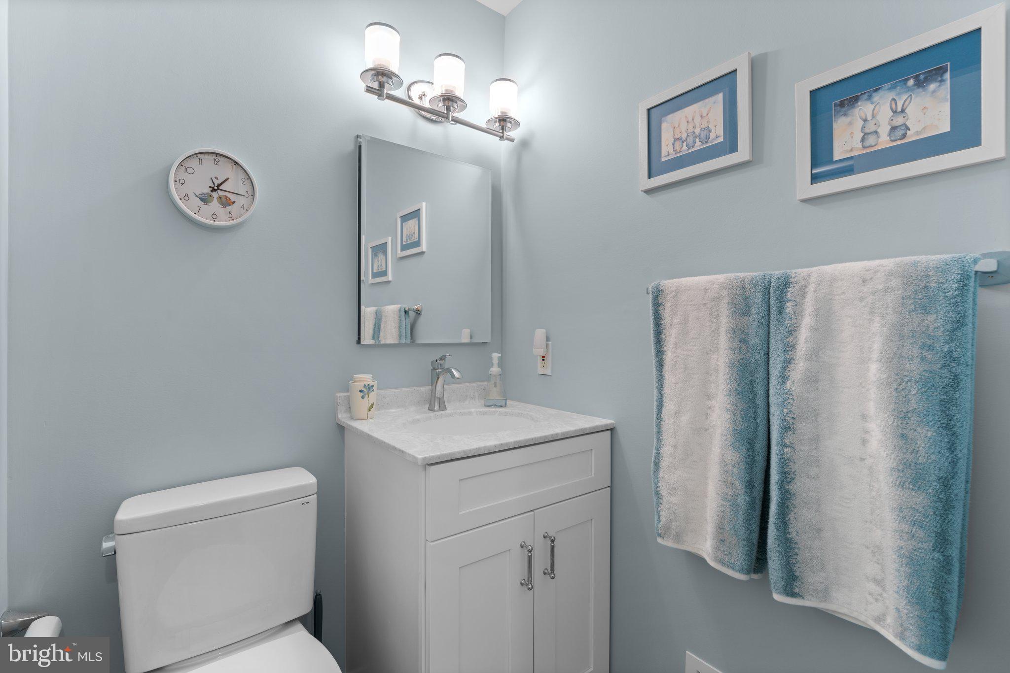 19729 Olney Mill Road Brookeville, MD 20833 - Photo 23 of 43 Primary Bathroom
