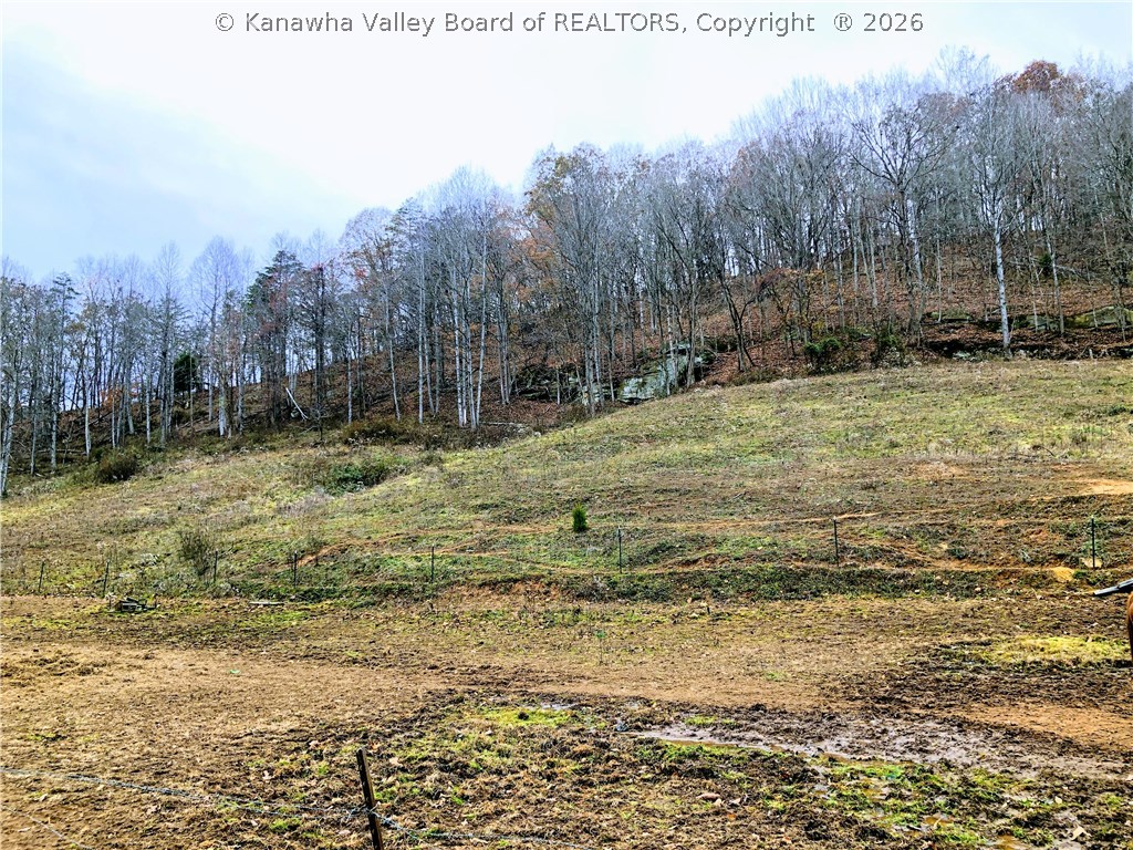 7108 Jim Hill Road Henderson, WV 25106 - Photo 4 of 24 Gallery Image 4