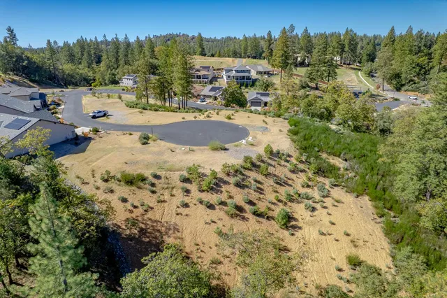 a view of a town with trees in the background