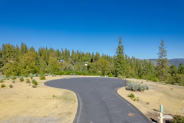 a view of a swimming pool with a yard
