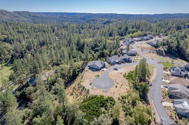 a view of a forest with a lake