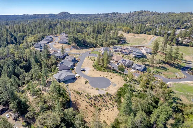 a view of a forest with a lake view