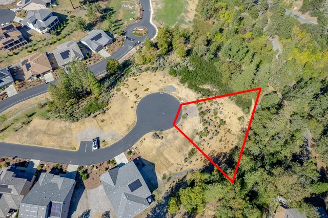 an aerial view of a house with a yard and large trees