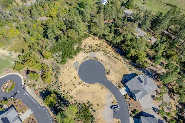 an aerial view of a house with a yard and large trees