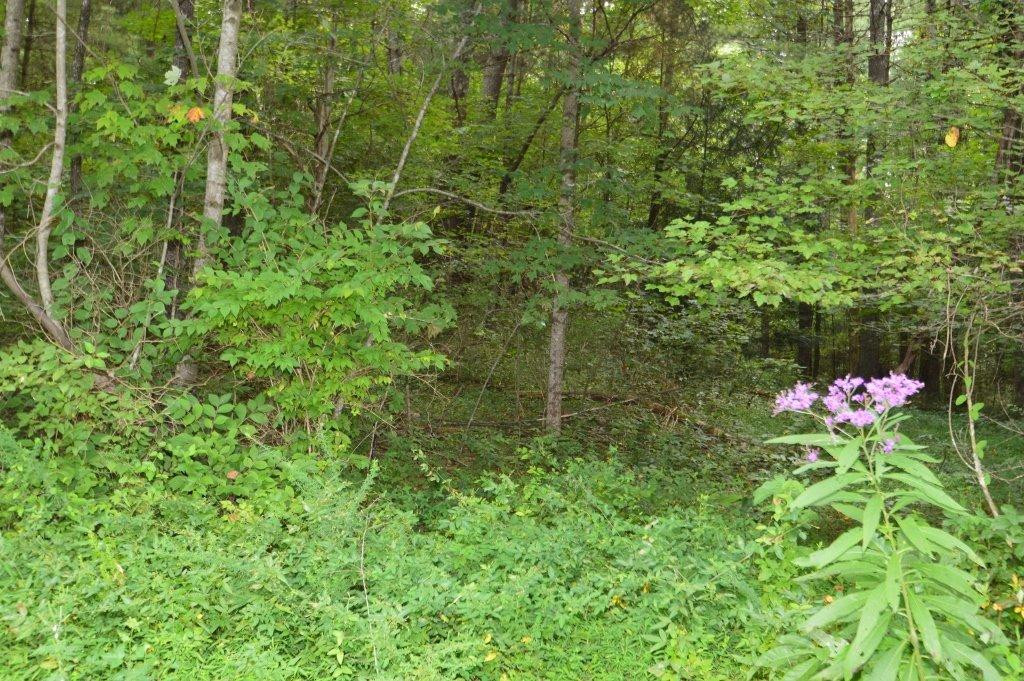 3561 Trapp-Goffs Cor Road Winchester, KY 40391 - Photo 44 of 47 Photo 44