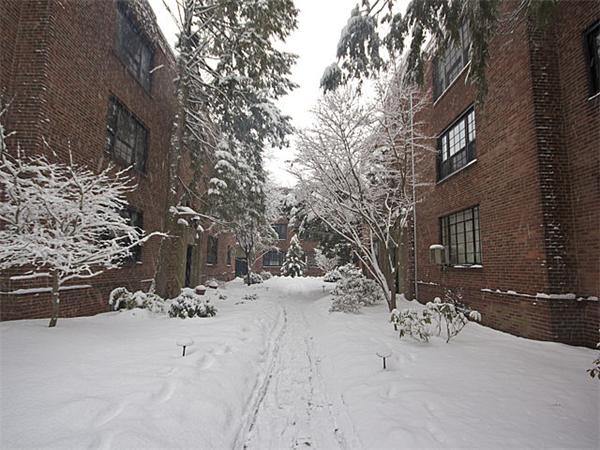 94 Marion Street, Unit 6 Brookline, MA 02446 - Photo 17 of 18