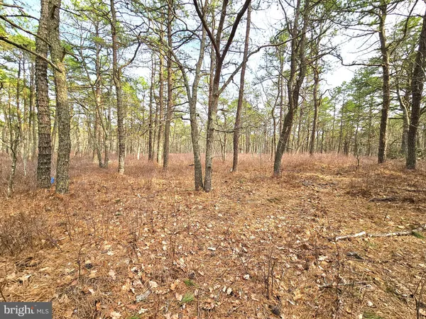 $269,000 | 0 Birchwood Drive, Tuckerton, NJ 08087