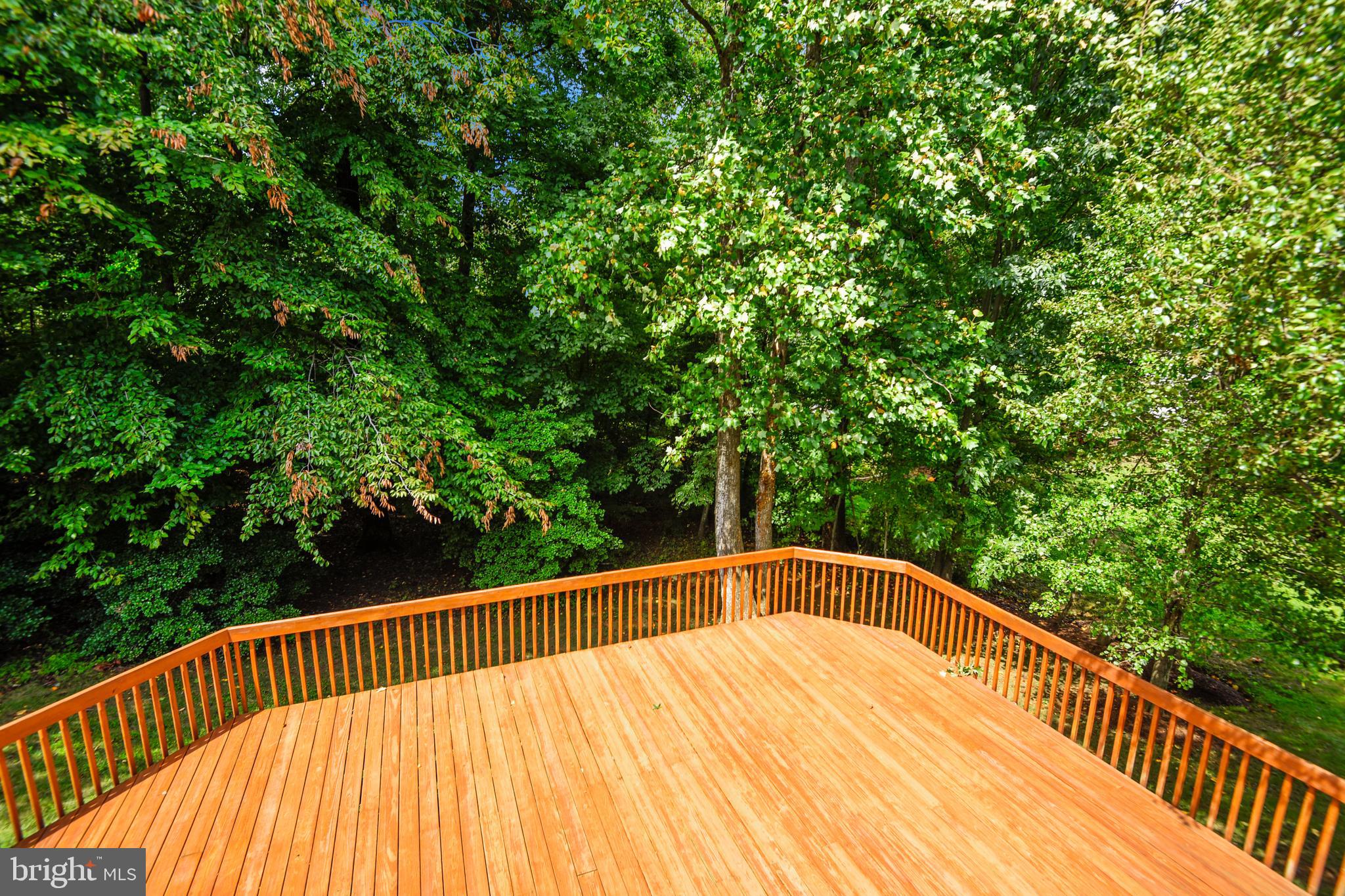 1554 Comanche Road Arnold, MD 21012 - Photo 66 of 96 Gallery Image 66