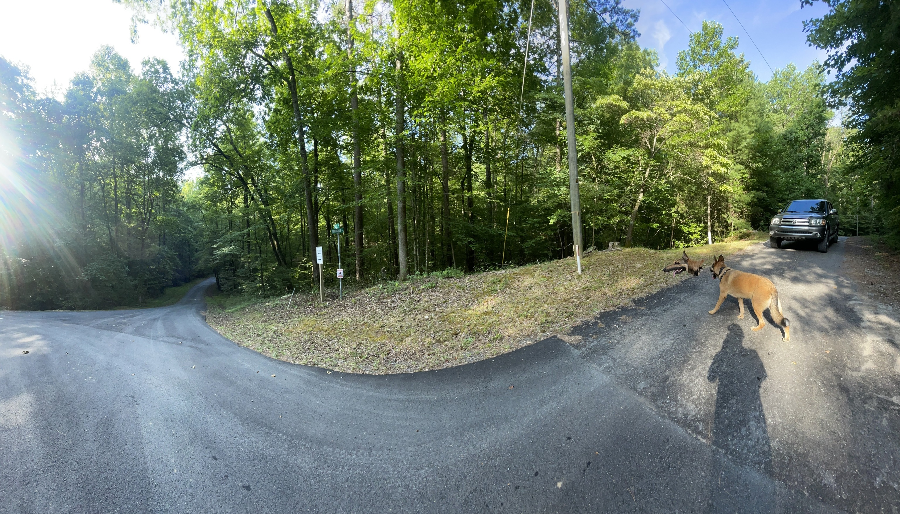 730 Nettles Lane Ranger, GA 30734 - Photo 2 of 32 a view of a swimming pool with a yard