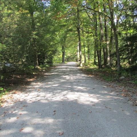 257 Conover Pass Road Acme, PA 15610 - Photo 25 of 25 This quiet tree-lined lane can lead to your incredible home - Call Today for a private showing! This beautiful country home is close to the Hidden Valley and Seven Springs Resorts!