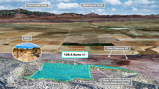 0 County Road 28 Levan, UT 84639 - Photo 168 of 207