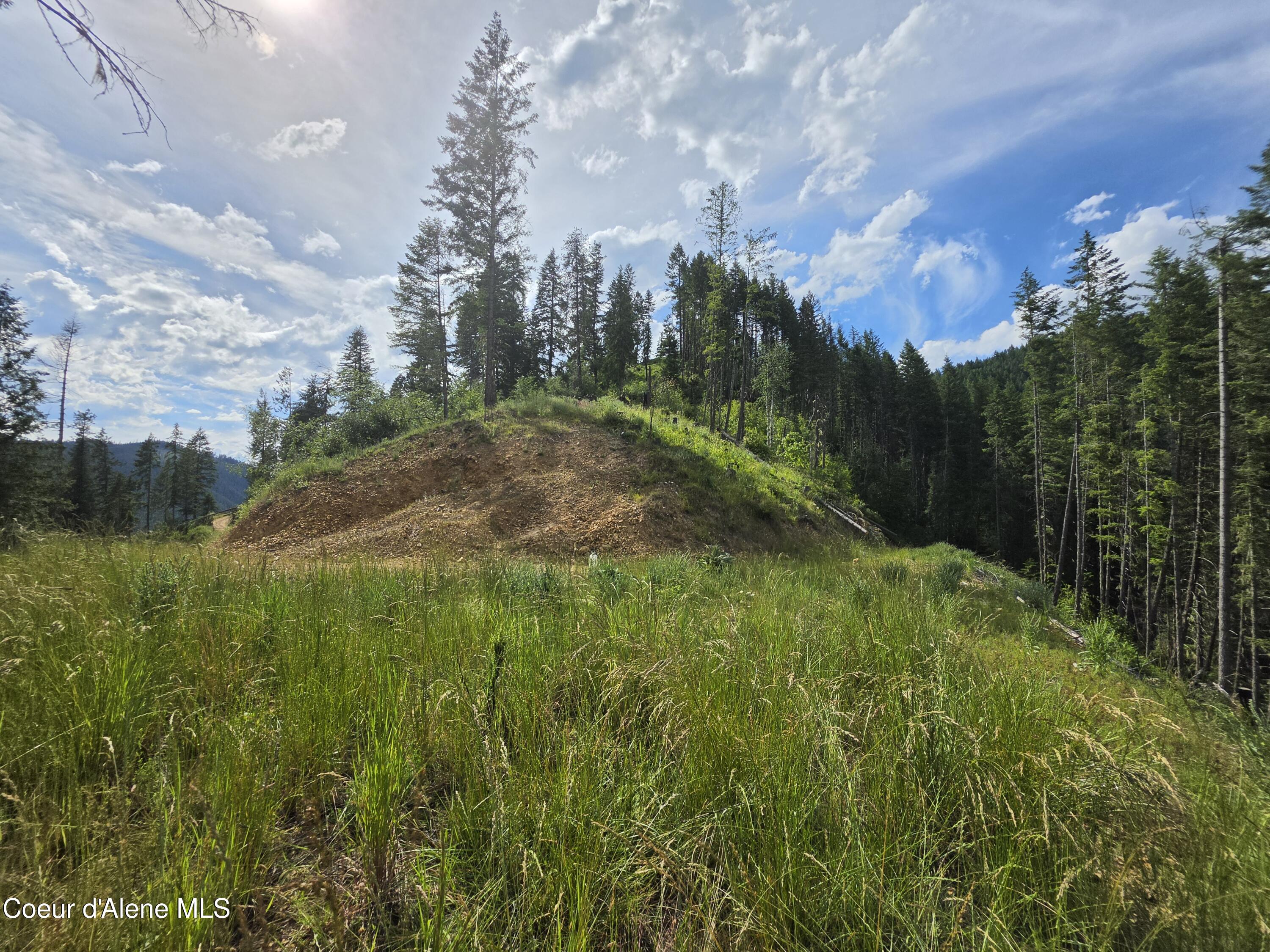480 Dunn Peak Road Avery, ID 83802 - Photo 60 of 66 4th Building Site
