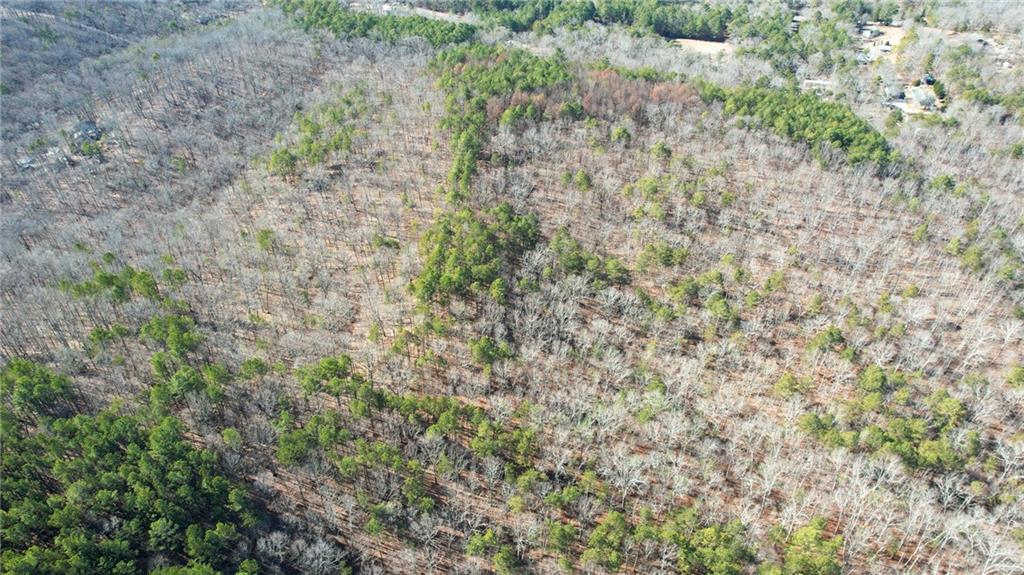 1 Bozeman Road Rydal, GA 30171 - Photo 20 of 25