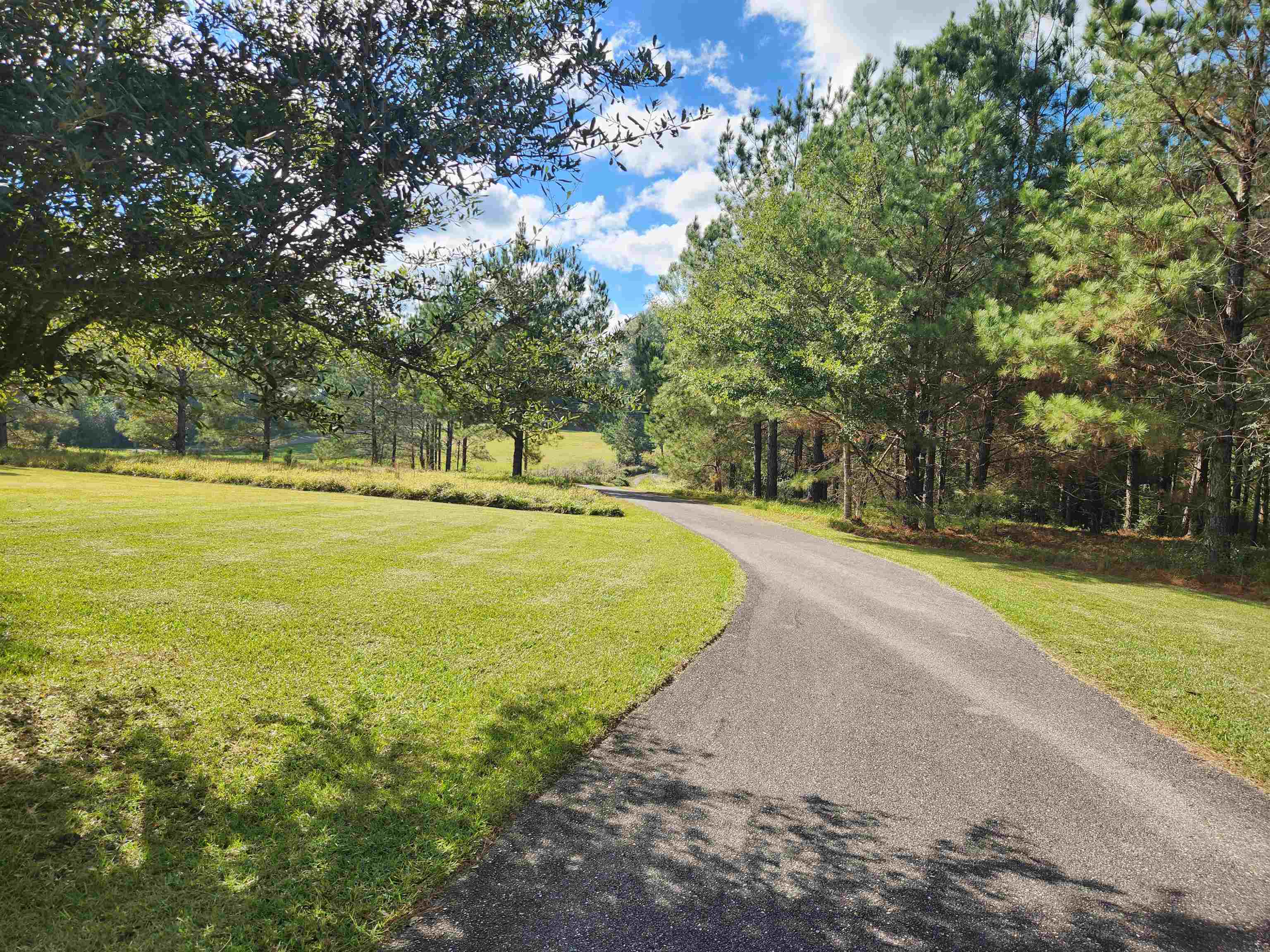 45820 Phillipsville Road Bay Minette, AL 36507 - Photo 14 of 15 Driveway