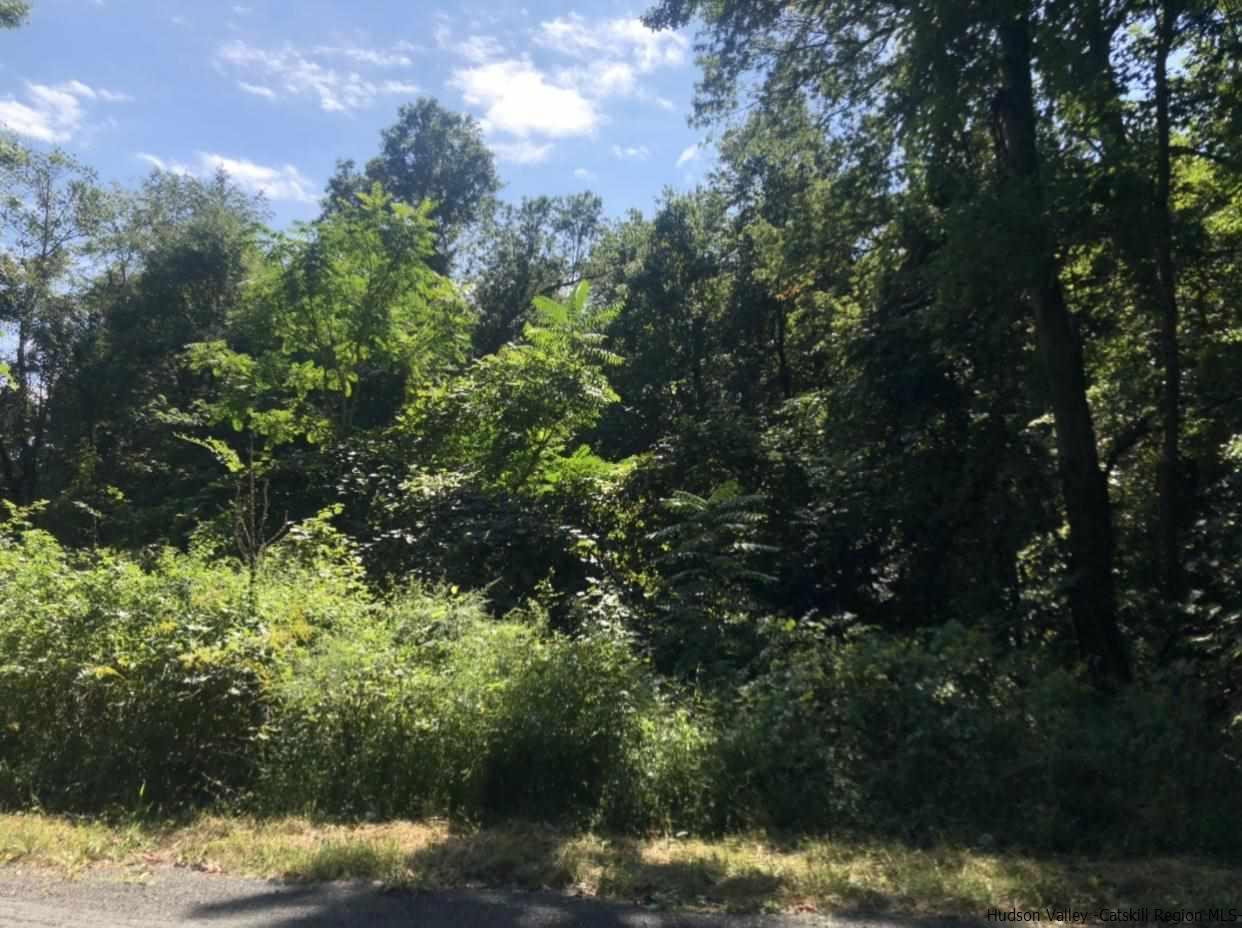 Tbd Birch Road Wallkill, NY 12589 - Photo 1 of 7 Photo 1