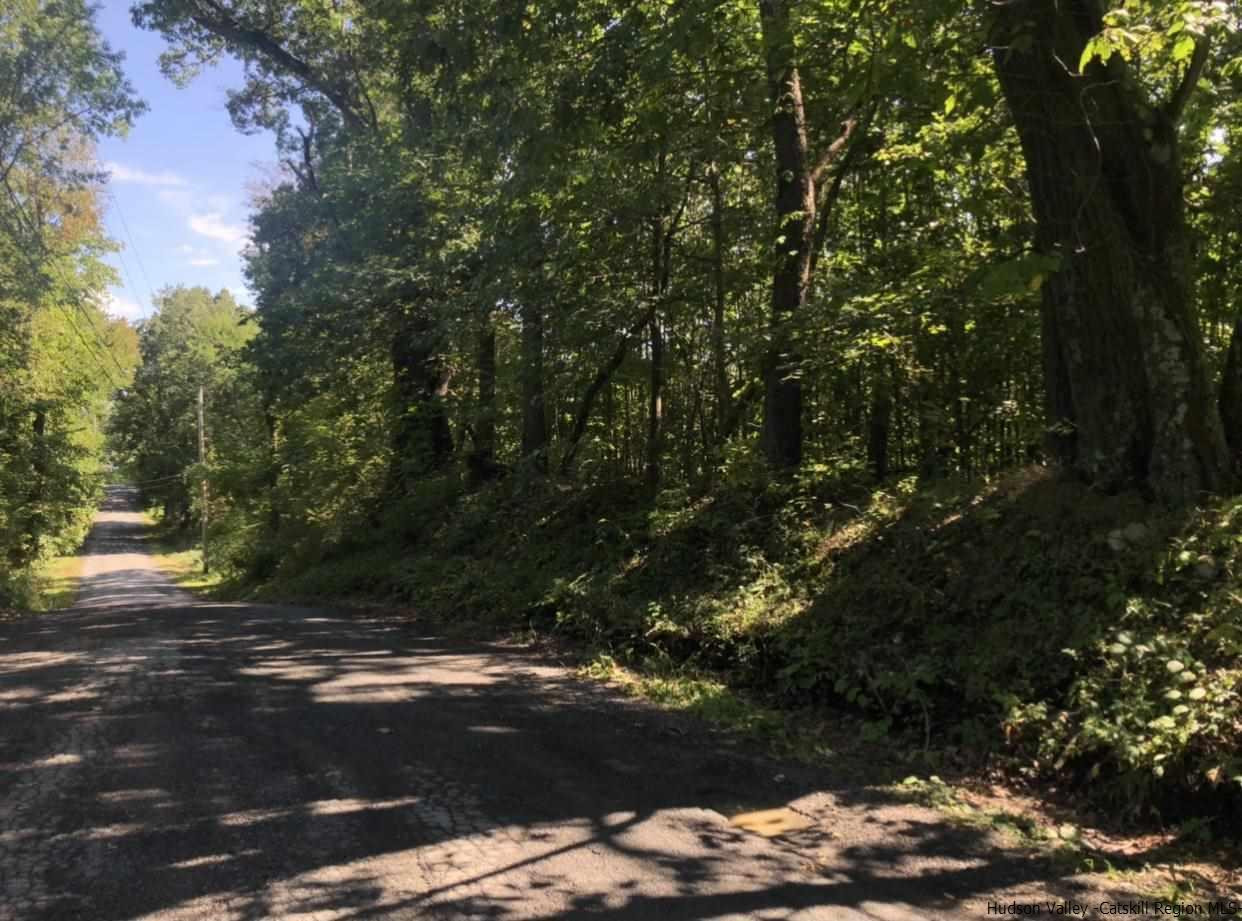 Tbd Birch Road Wallkill, NY 12589 - Photo 2 of 7 Photo 2